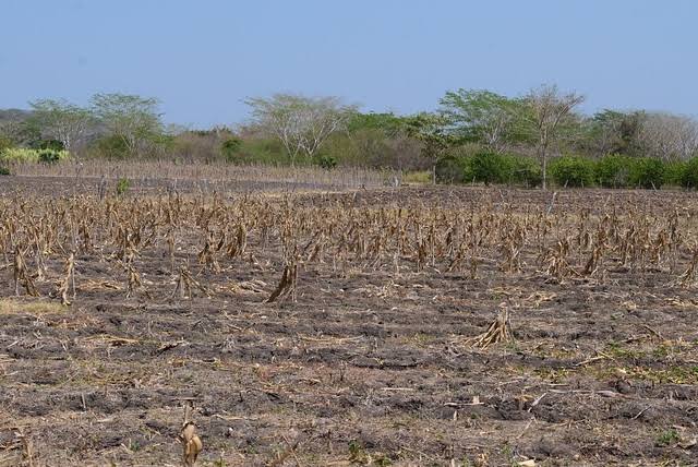 Temporada de sequía se avecina a Yucatán