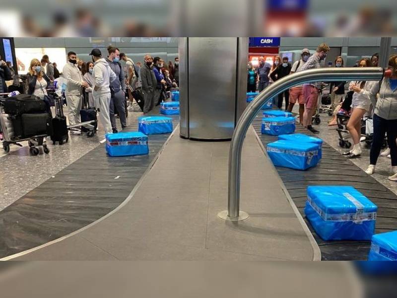 Pasajeros reciben cajas de pescado congelado en vez de equipaje