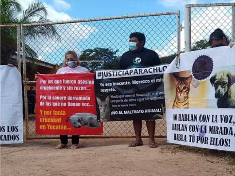 Manifestantes clausuran perrera municipal de Mérida por maltrato animal