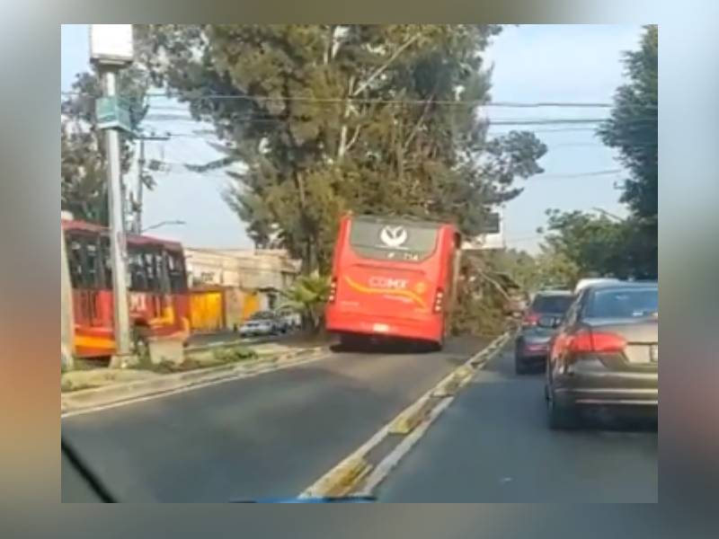 Metrobús se impacta con un árbol, se reportan varios lesionados