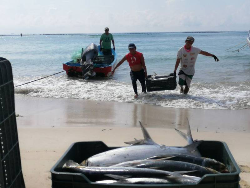 Alzan la voz contra la pesca furtiva en el estado