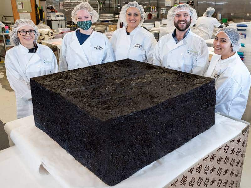 ¡El increíble brownie de mariguana más grande del mundo!