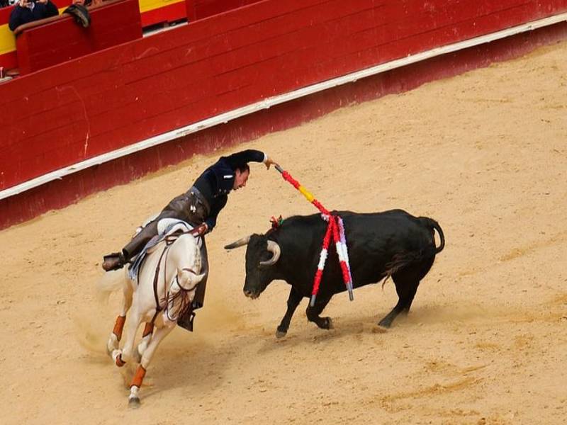 No a las corridas de toros, Comisión de Bienestar Animal del Congreso capitalino