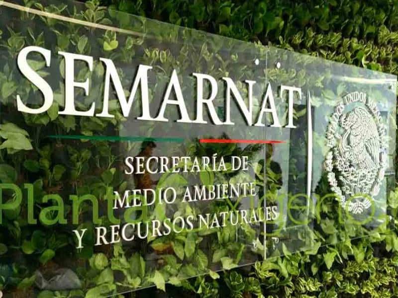Semarnat y su personal recibirán año nuevo en Mérida