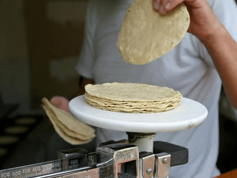 Incrementará el precio de la tortilla en febrero