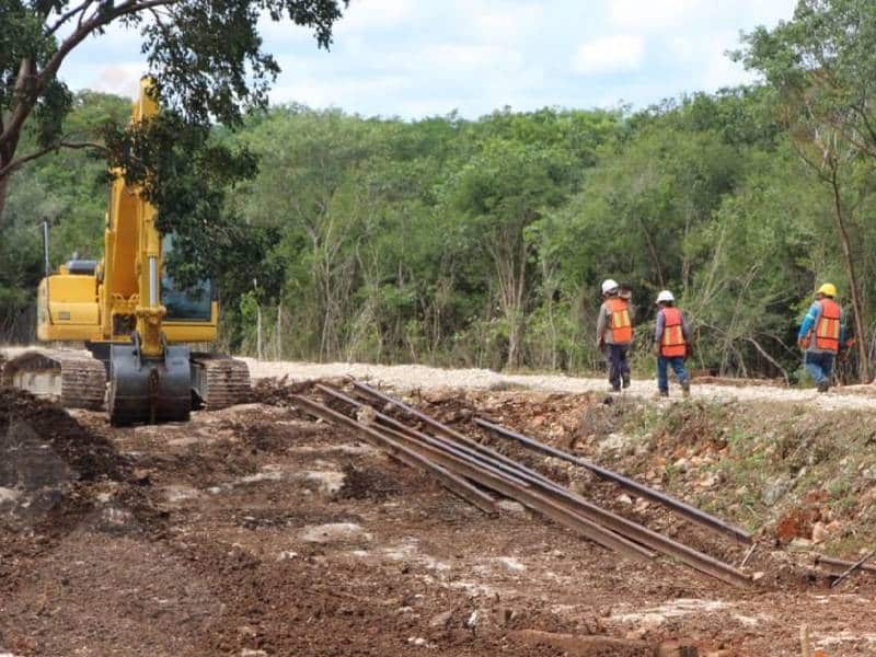 Tren Maya, con 80% de aceptación en el sur