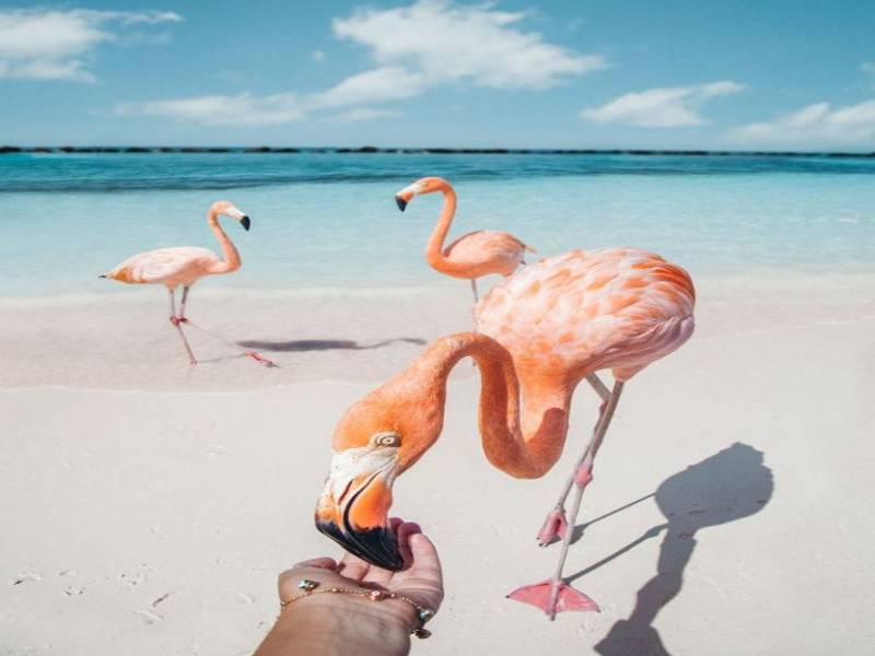 Actividad turística en Yucatán en franca mejoría