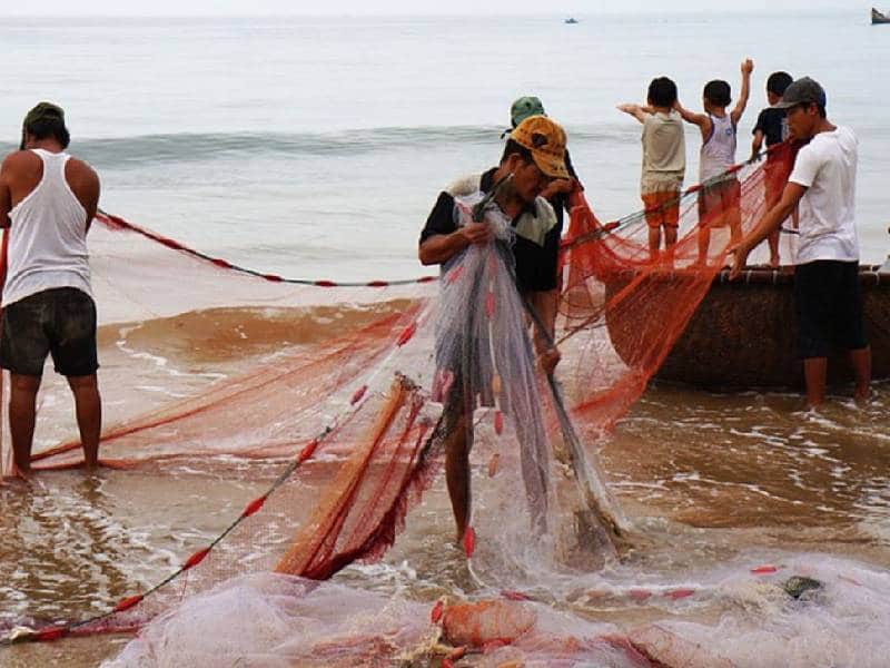 Merma economía de Progreso sobrepoblación de pescadores