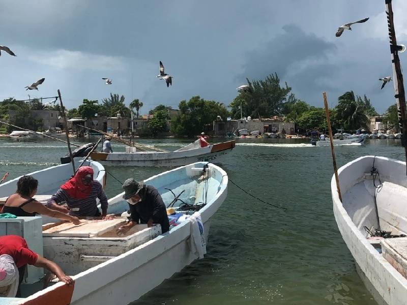 Aprovechan pescadores buen clima en Progreso