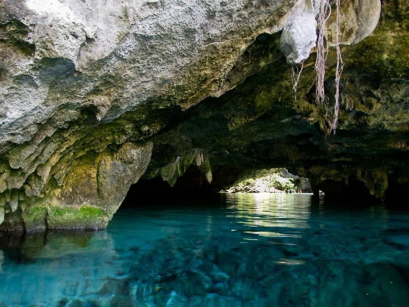 Conmemora estado Día Mundial del Agua 2022