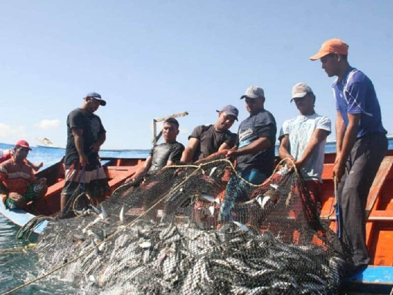 Estiman mejorar pesca de mero esta temporada