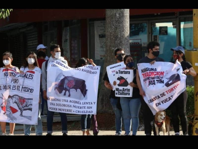 Exigen frenar las corridas de toros