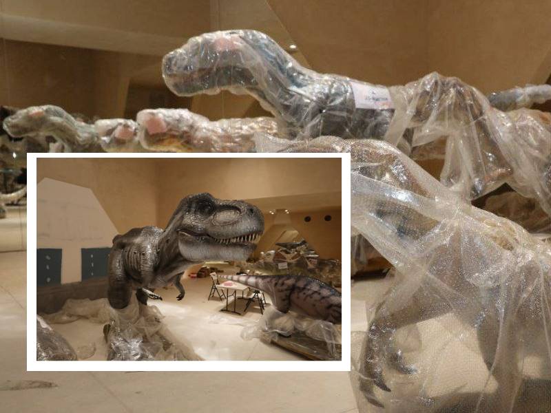 Llegan dinosaurios al Museo del Meteorito de Progreso