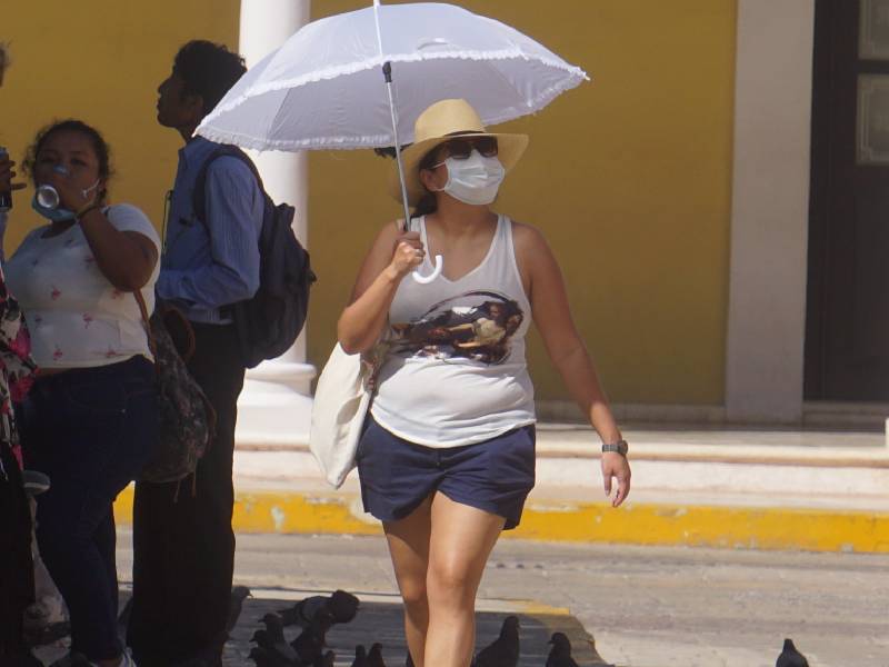 Picos de temperaturas de hasta 40°C en Yucatán