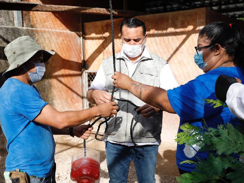 Supervisan las mejoras del Parque Zoológico Animaya