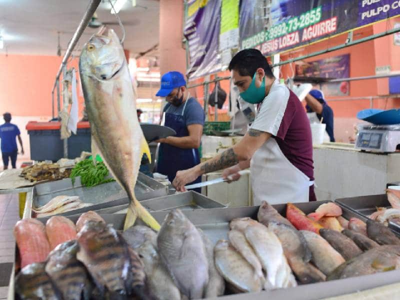 Venden gato por liebre en pescaderías