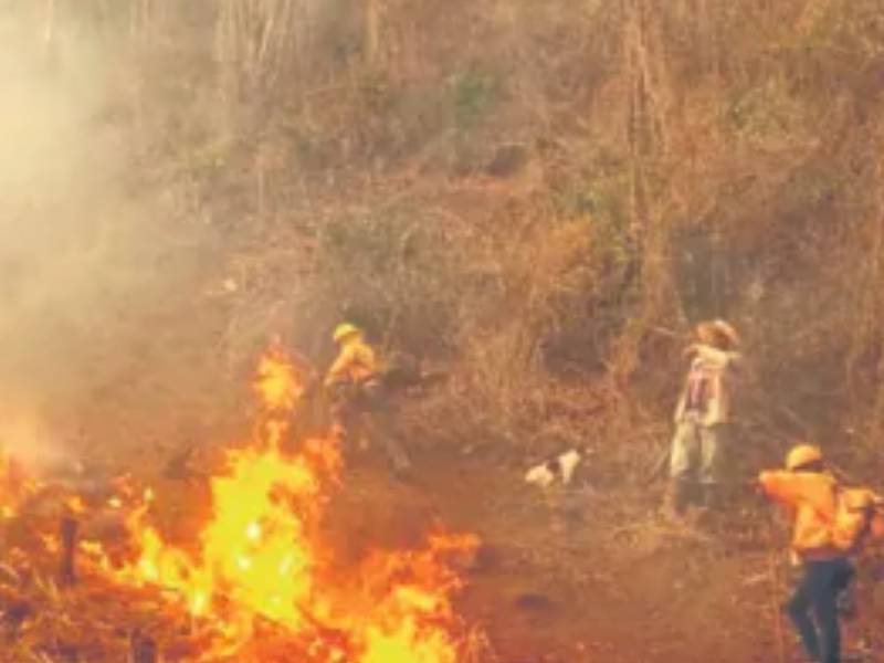 fuego sonora michoacán