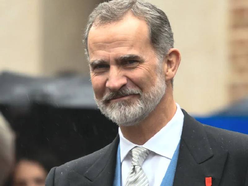 Rey Felipe VI patrimonio