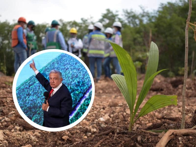 Presenta Gobierno federal avances del Tren Maya