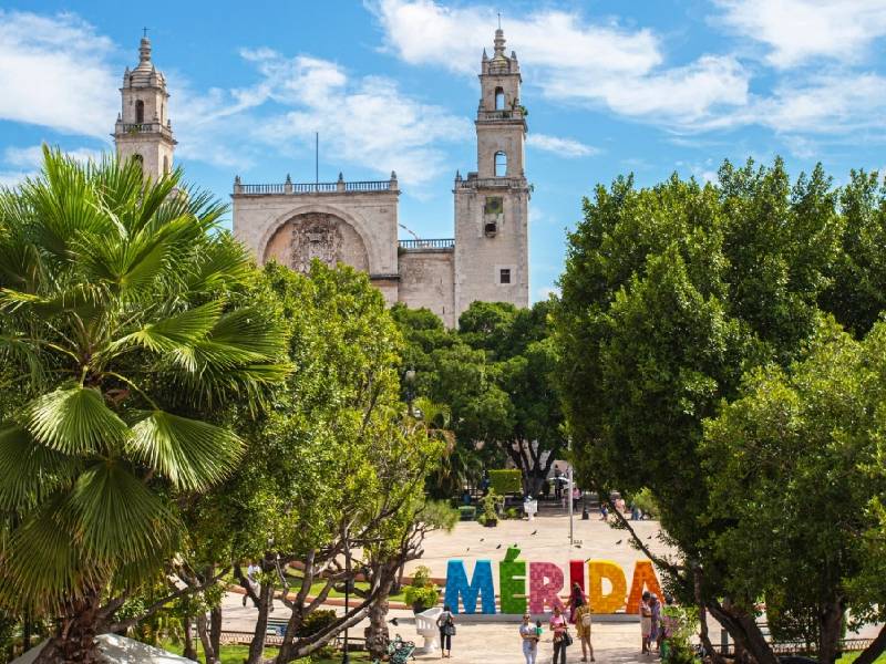 yucatán emprendedores