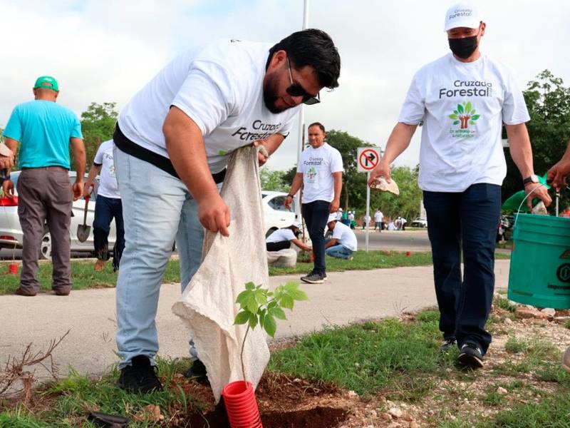 Jugadores de los Leones y voluntarios siembran 500 árboles en Ciudad Caucel