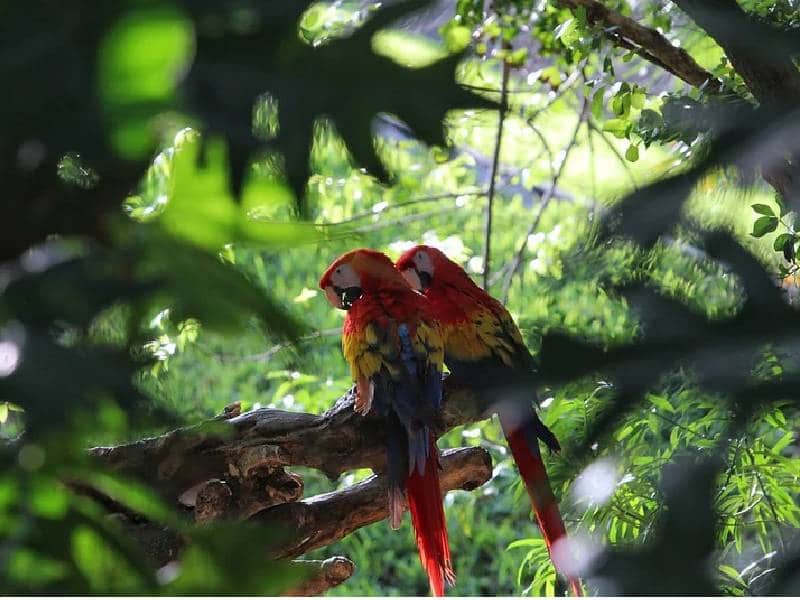 Biodiversidad, responsabilidad de todos