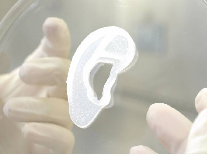 ¡Increíble! Científicos reconstruyen una oreja con tejidos impresos en 3D