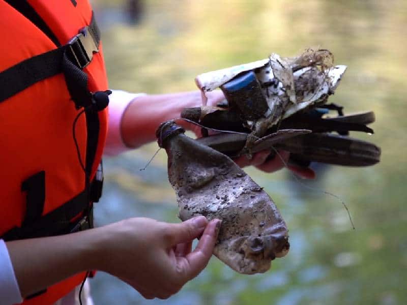 Acciones a favor del medio ambiente