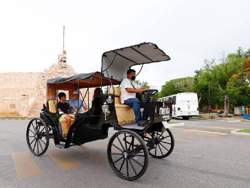 Calesas eléctricas, un acierto para el desarrollo sustentable de Mérida