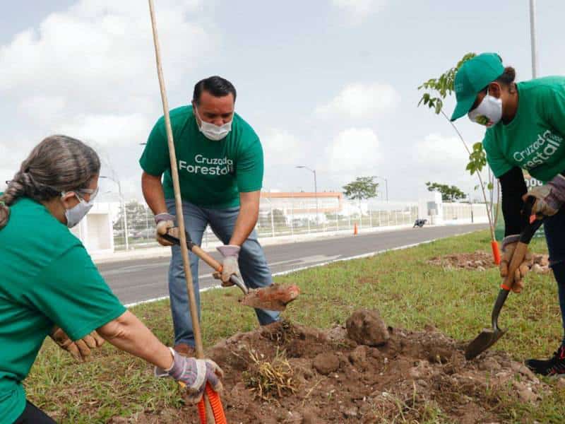 Multiplicará Mérida áreas verdes