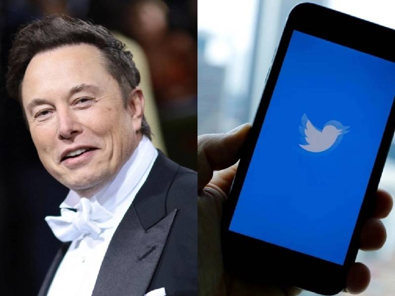 elon musk red social