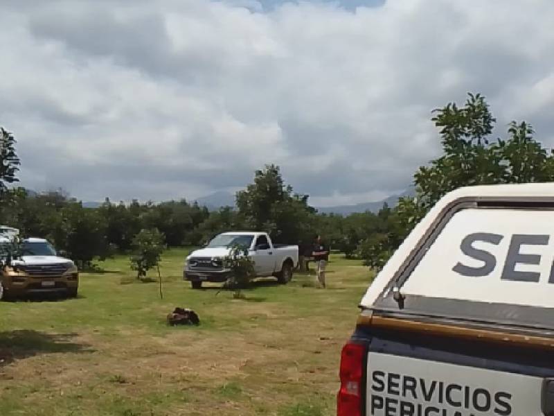 Suman 12 cuerpos en huerta de aguacates en Uruapan; identifican a 1