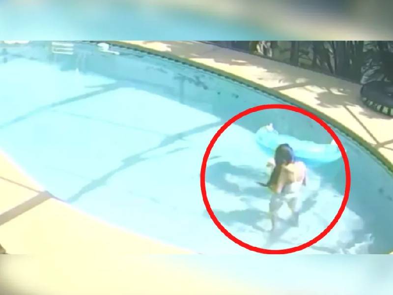 Video. ¡Terrible! Mujer sumerge a perrito en una piscina; ya está detenida