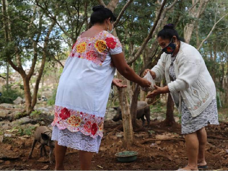 Activistas de la Península de Yucatán a favor del desarrollo comunitario