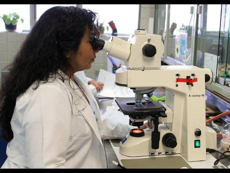 Respaldan a mujeres yucatecas de ciencia