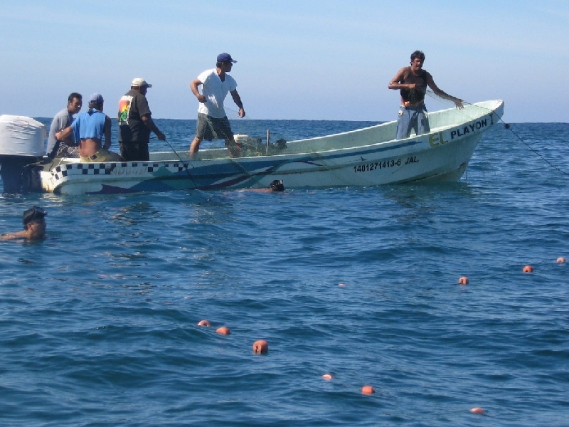 marea roja