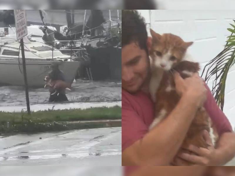 Video: ¡Se salvó! Hombre rescata a perrito del huracán Ian, en Florida