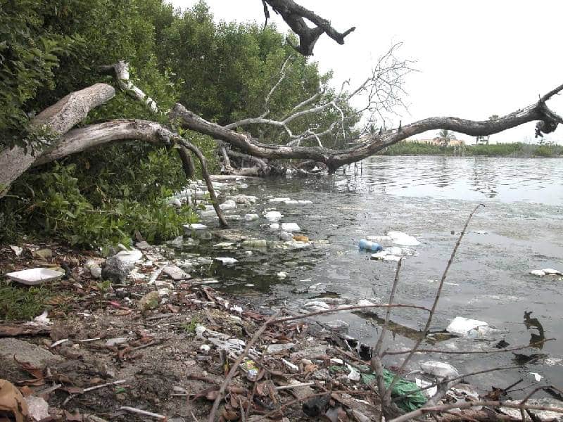 Manto freático de Yucatán, en riego por contaminación