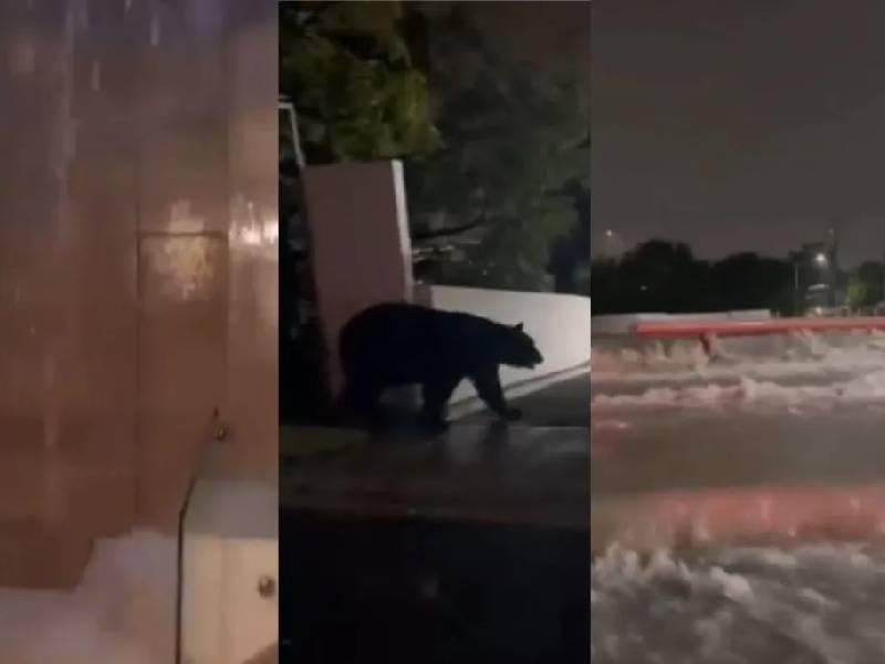 Lluvias en Monterrey dejan saldo rojo: muere familia tras ser arrastrado su auto