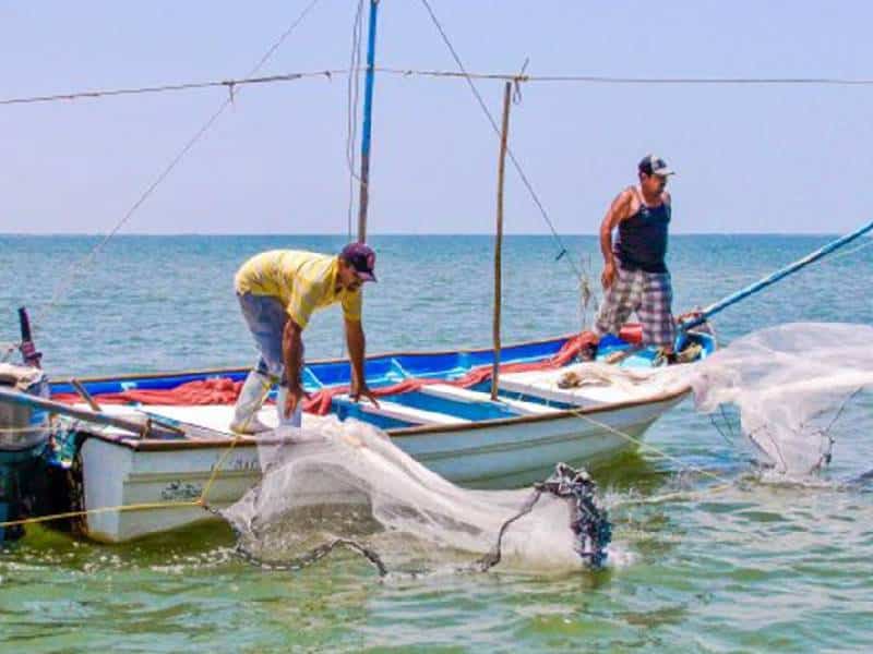 Inconformidad por desaparición de cuatro capitanías en Progreso