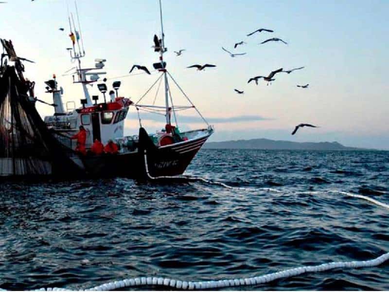 Continúan muertes de pescadores y piratas modernos