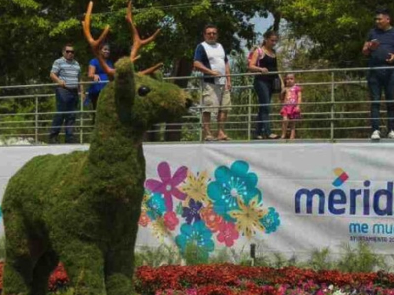 Exhibirán Paseo Navideño de las Flores en el parque La Mejorada