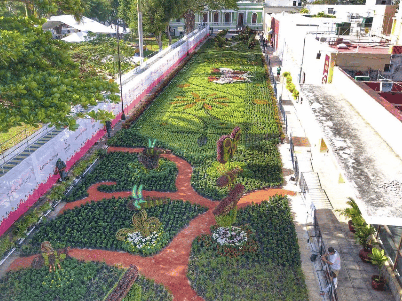 Habrá Paseo Navideño de las Flores en La Mejorada