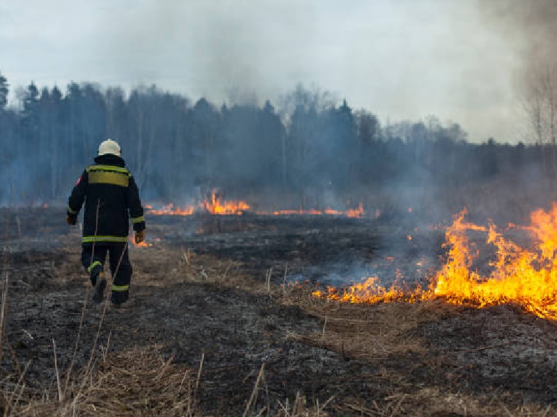 incendios