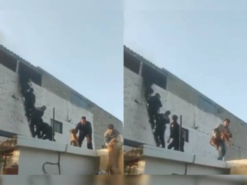 ¡Héroes! Policías hacen cadena humana para salvar a 10 perritos durante incendio