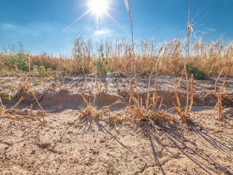 Aumenta la sequía en Yucatán