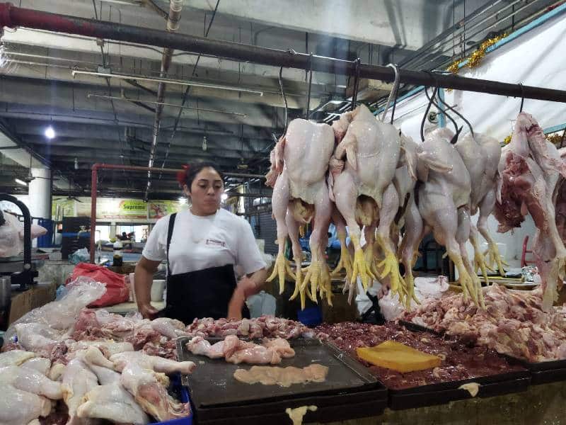 Sin desabasto de pollo y pavo en Mérida 