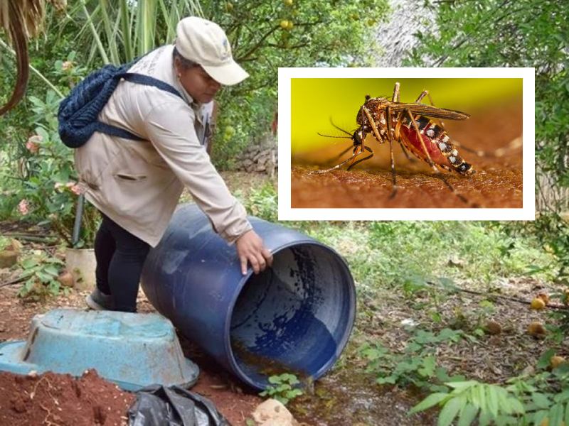 Se disparan los casos de dengue en la entidad