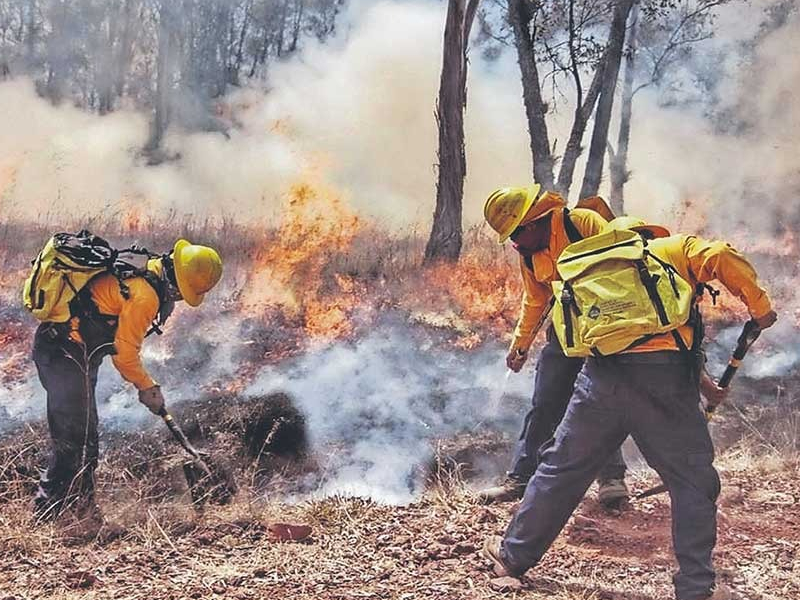 Listas, cuadrillas para enfrentar incendios