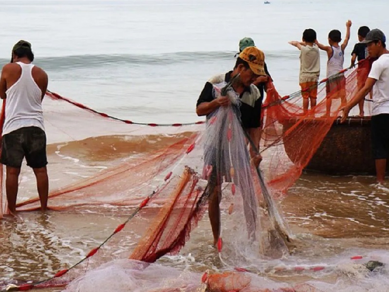 Pescadores reportan millonarias pérdidas